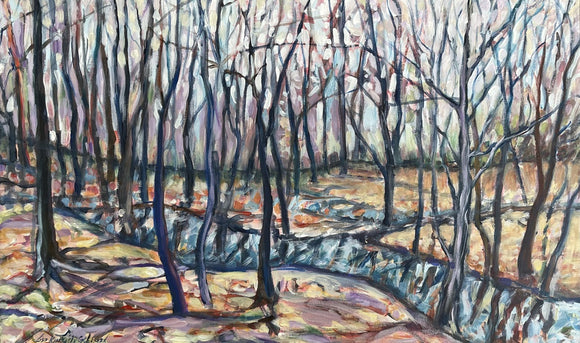 Stream in the Forest