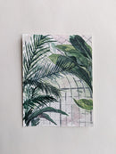 Greenhouse Studies 01-2