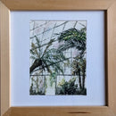 Greenhouse Studies 02-1