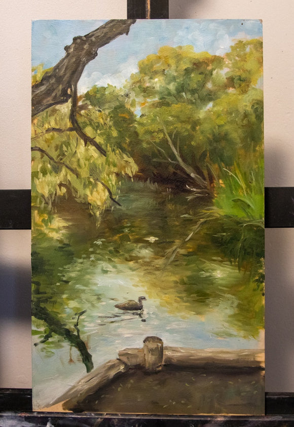 Pond in High Park
