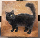 Naughty black cat-2