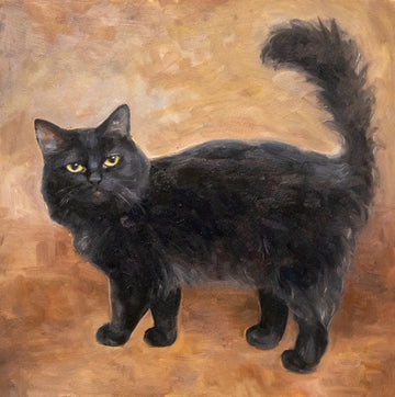 Naughty black cat