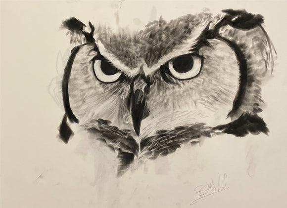 Great Horned Owl