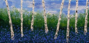 Bluebells impasto forest-1