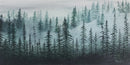 Through the Forest-1