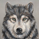 Wolf Portrait-1