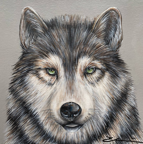 Wolf Portrait
