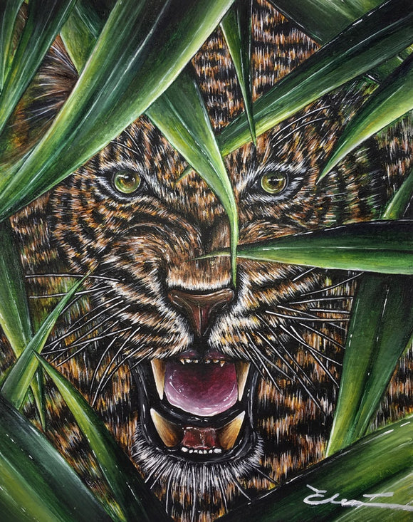 Jaguar in the Jungle