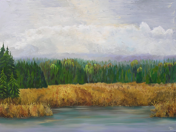 Spruce Bog, Algonquin Park