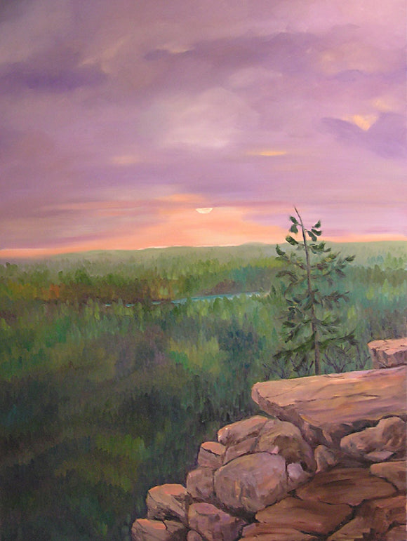 Two Rivers Trail Lookout