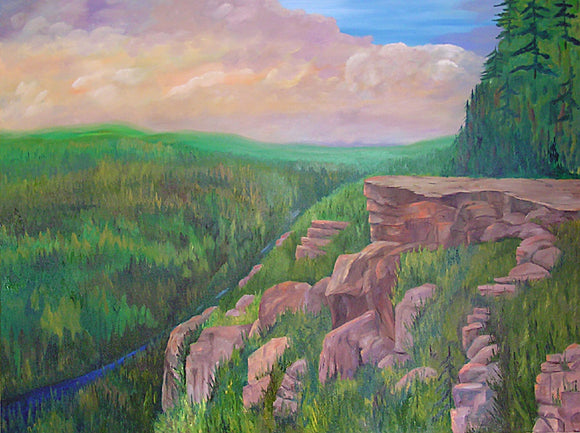 Baron Canyon Lookout