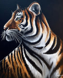 Tiger Portrait-1