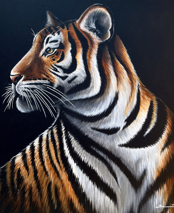 Tiger Portrait