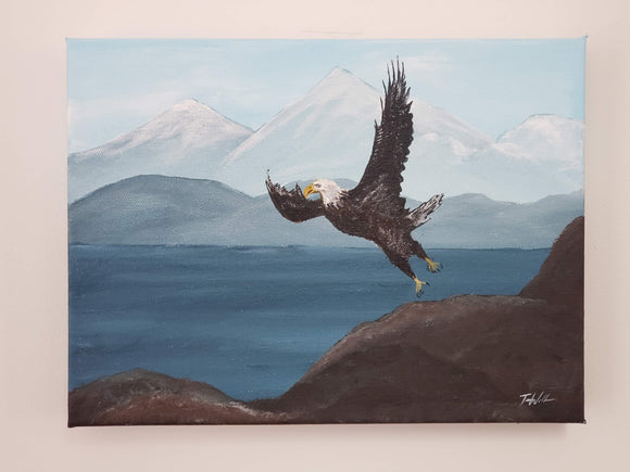 Soar