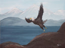 Soar-1