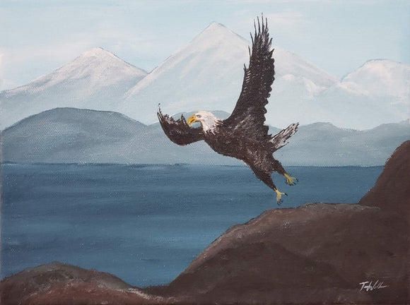 Soar