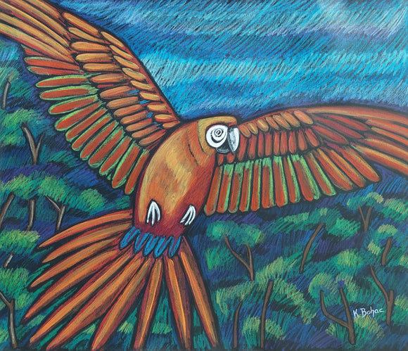 Red Parrot
