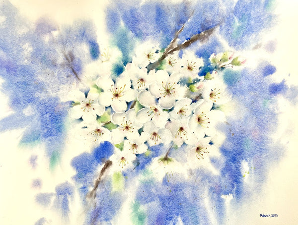 Spring blossoms