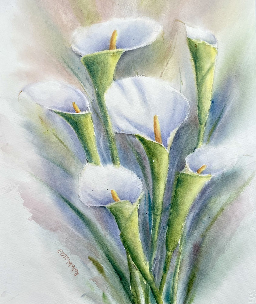 Calla Lily