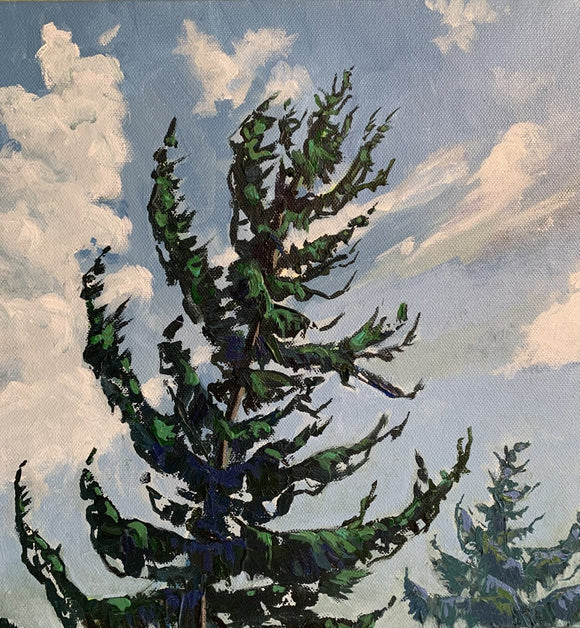 Tree Top