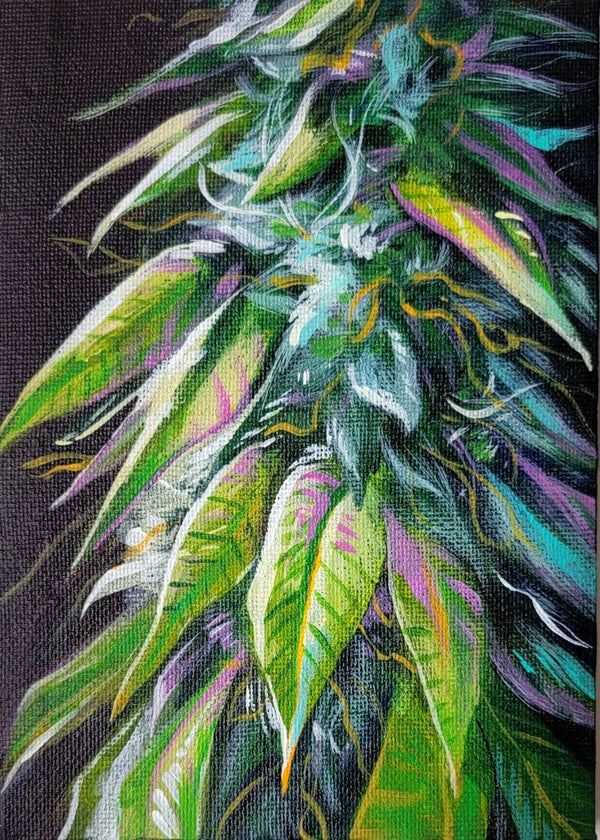 Mini Marihuana Close-up