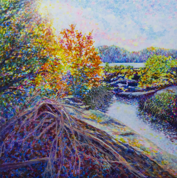 Beaver Habitat