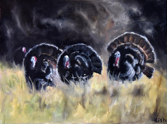 Early Morning Toms