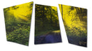 The Creek, the Road, the Forest—Triptych-1