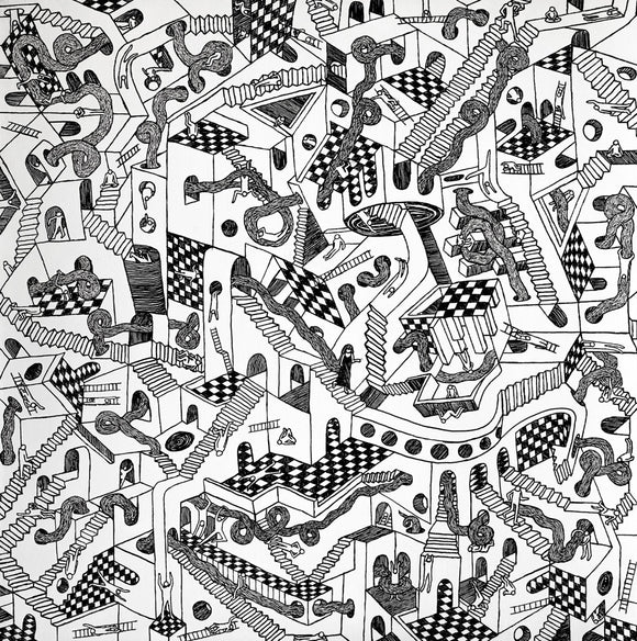 Escher's Hairmaze