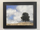Ponderosa-3