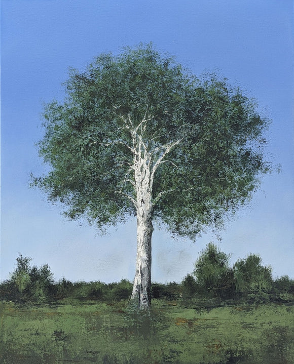 White Birch