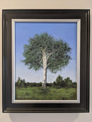 White Birch-3