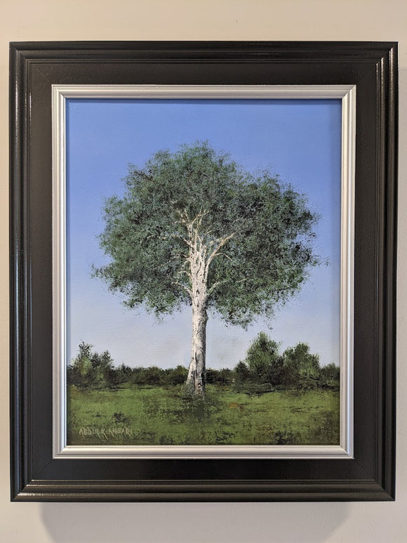 White Birch