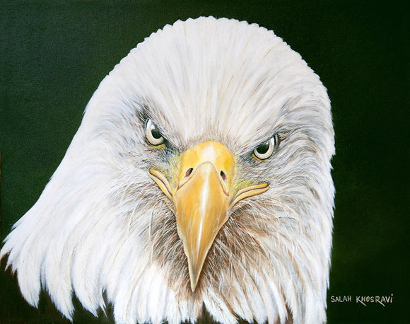 Observant Eyes