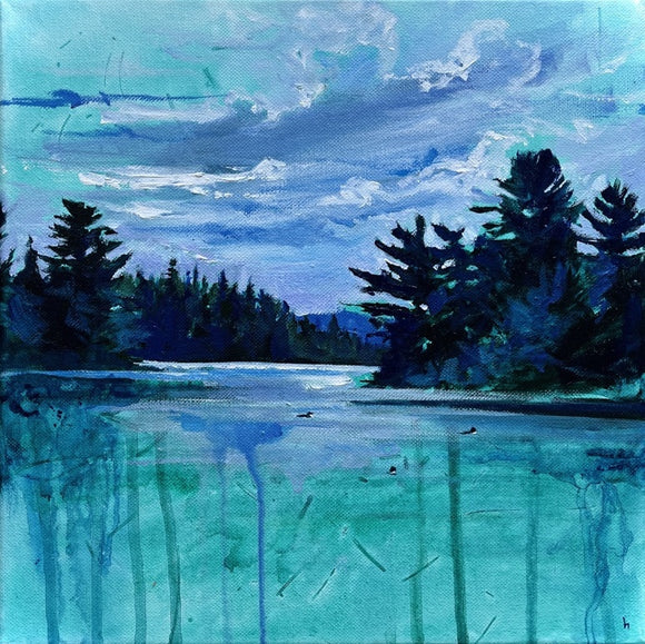 Rain & Loons