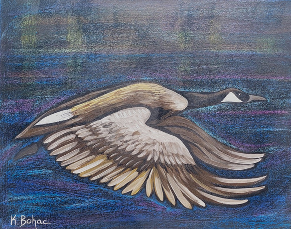 Canadian goose