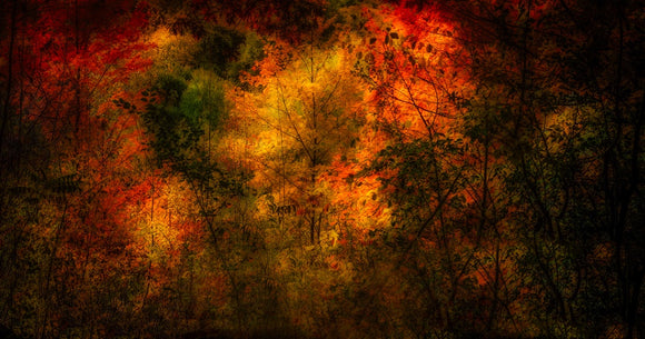 Colour Explosion