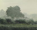 Summer Haze-1