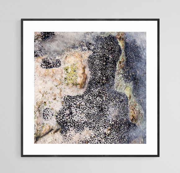 Origin No4