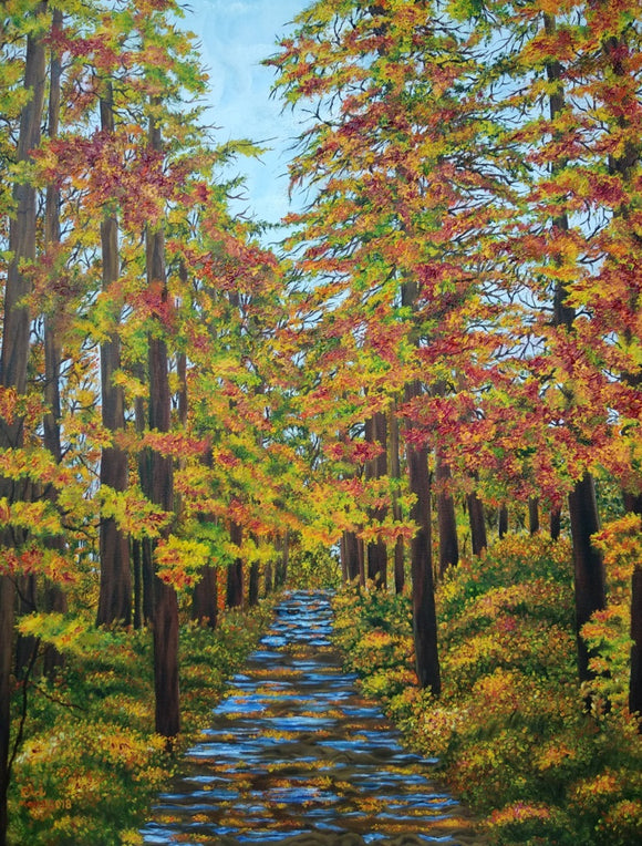 autumn forest