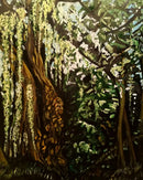 Don Valley Weeping Willow-1