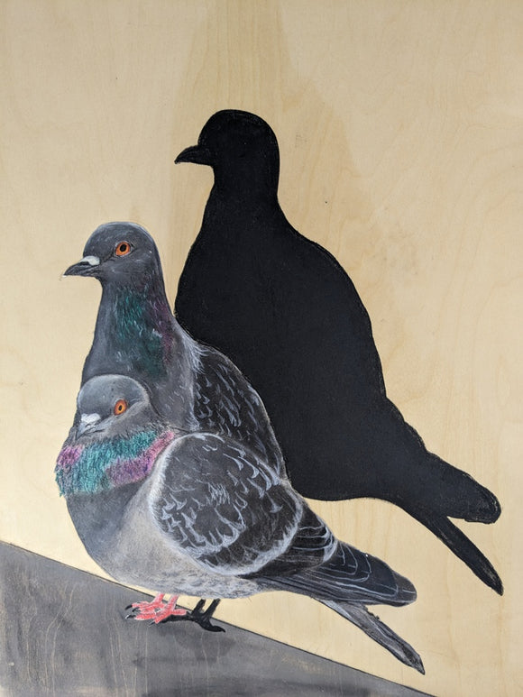 Pigeons