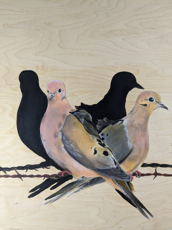 Morning Doves