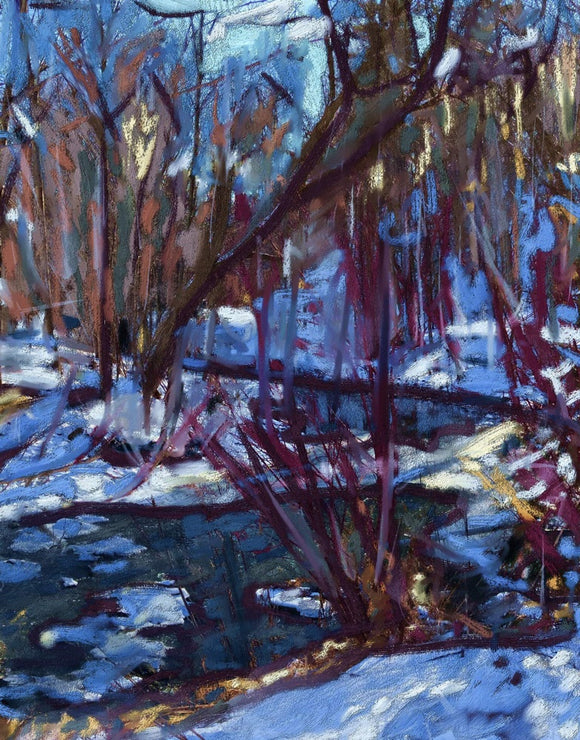 Glendon College Trail, Winter
