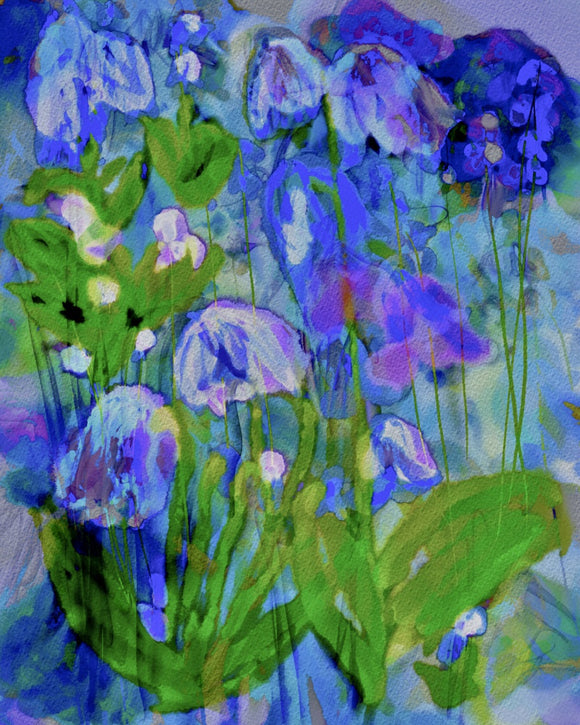 bluebells-helloart