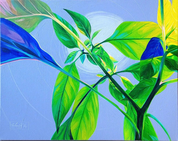 Plant Toward The Light