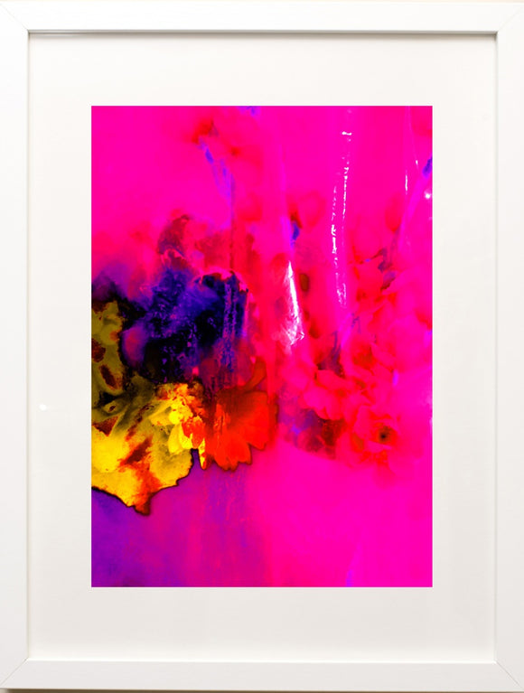 FLORALS III: OUR NATURE V