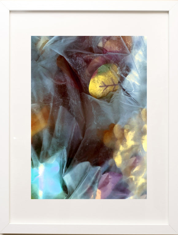 FLORALS III: PLOUMAR