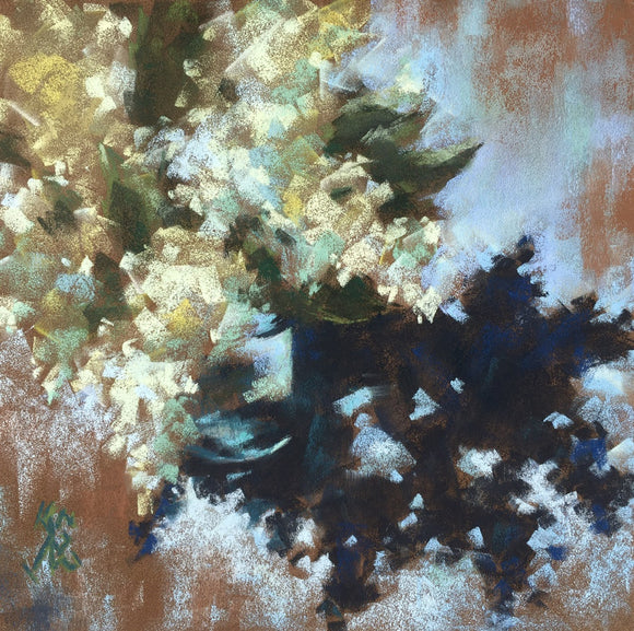 Rhythm of shadows