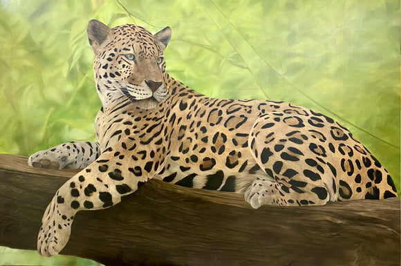 Leo